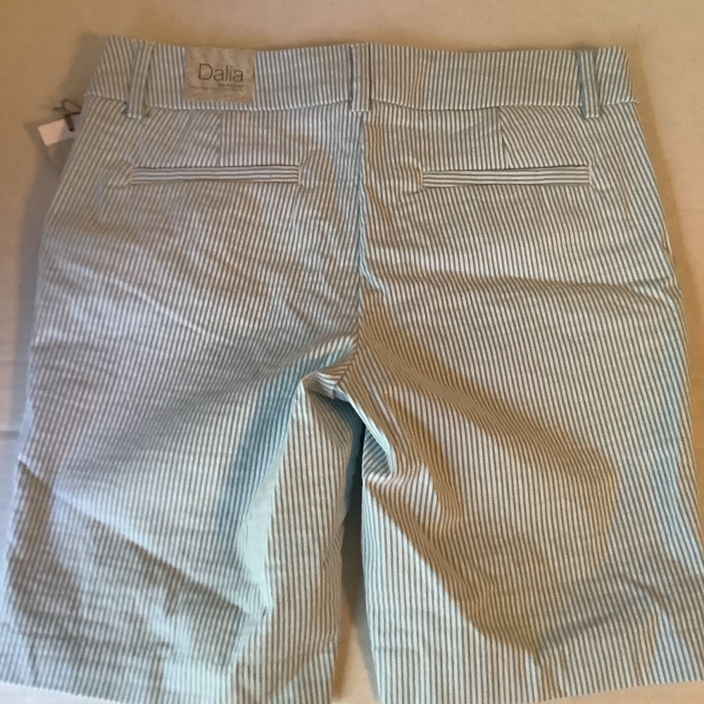 Dalia City Fit Striped Shorts Size 4 New - Picture 2 of 15